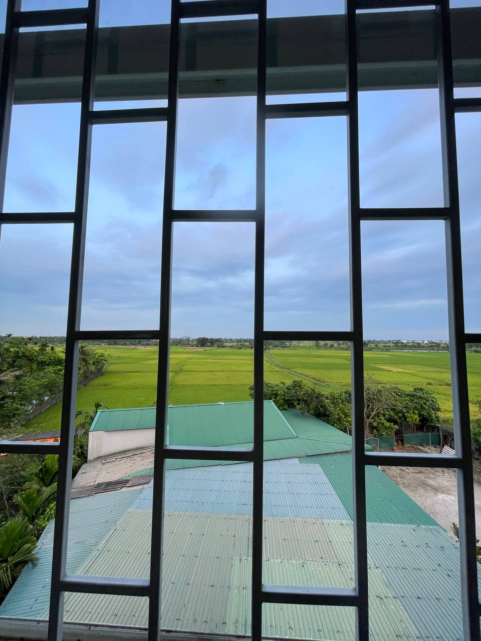 View cánh đồng xanh mát qua ô cửa sổ phòng nghỉ